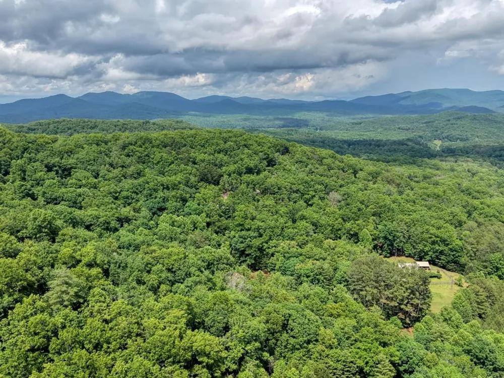 1564 Black Ankle Creek Road Cherry Log, GA 30522
