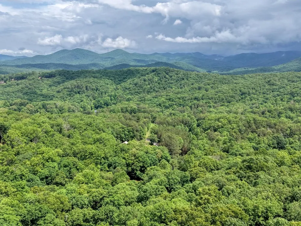 1564 Black Ankle Creek Road Cherry Log, GA 30522