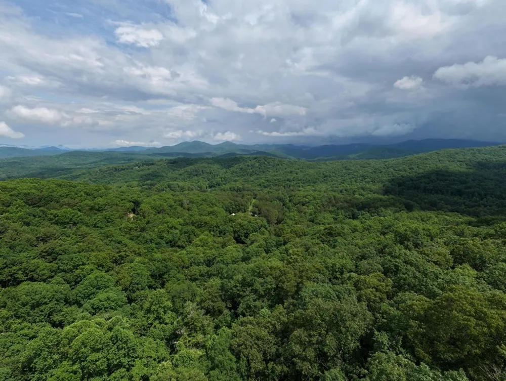 1564 Black Ankle Creek Road Cherry Log, GA 30522