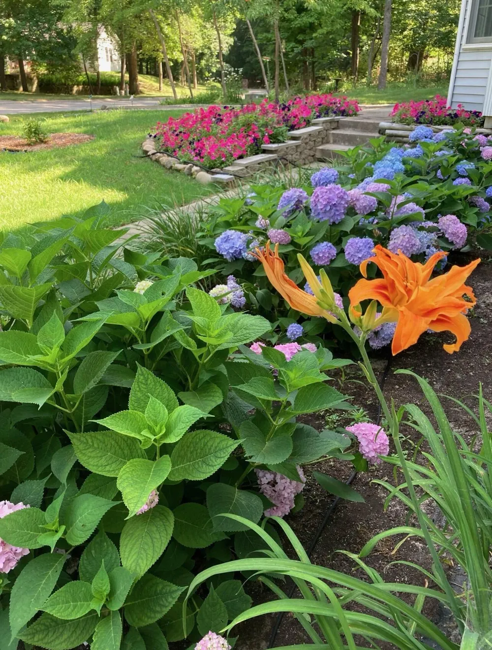 11261 Bridlewood Trail Berrien Springs, MI 49103