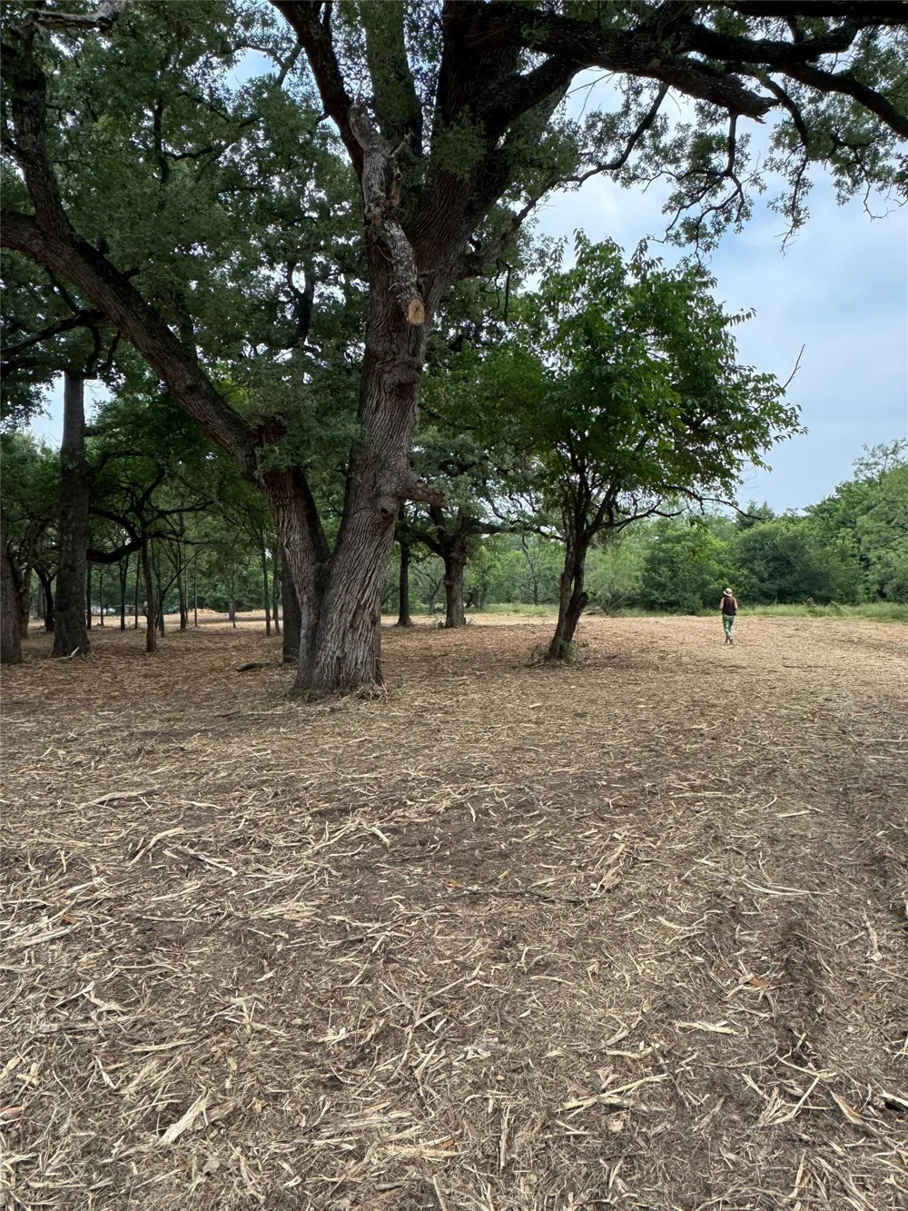 SE CR 1190 Richland, TX 76681
