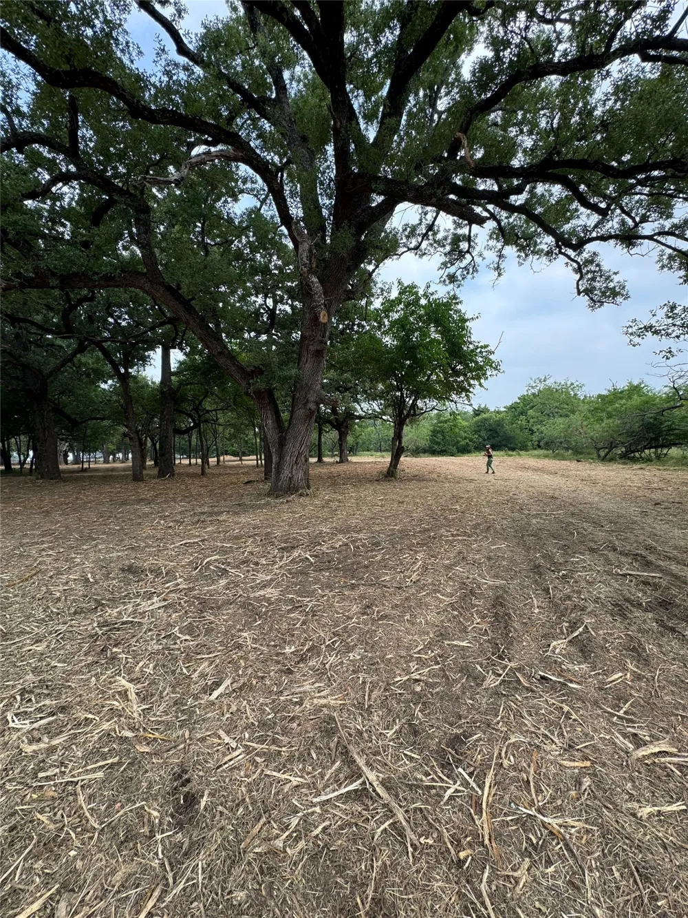 SE CR 1190 Richland, TX 76681