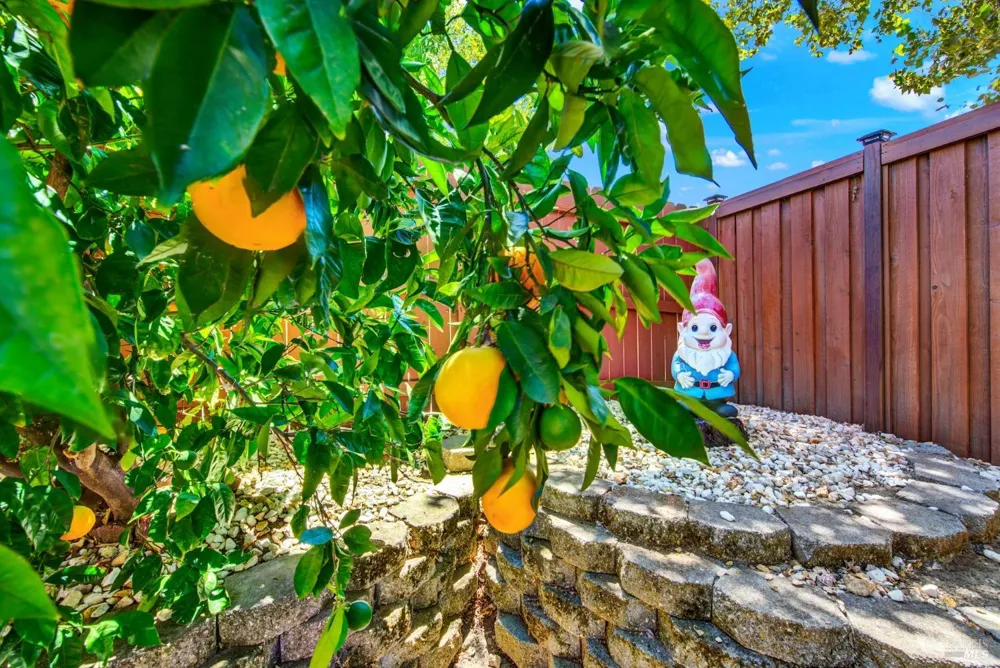 413 Crownpointe Circle Vacaville, CA 95687