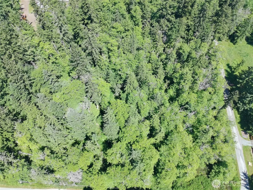 737 Twin View Drive Greenbank, WA 98253