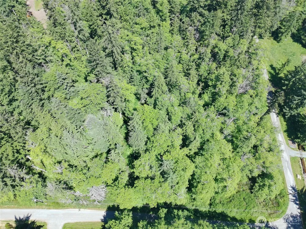 737 Twin View Drive Greenbank, WA 98253