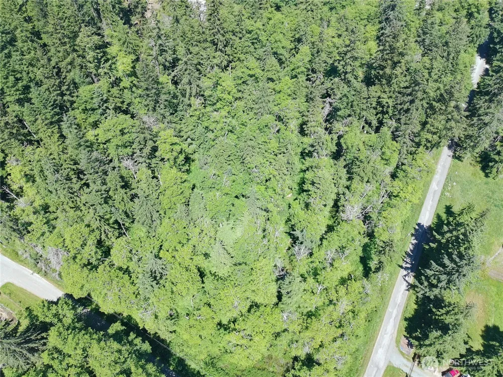 737 Twin View Drive Greenbank, WA 98253