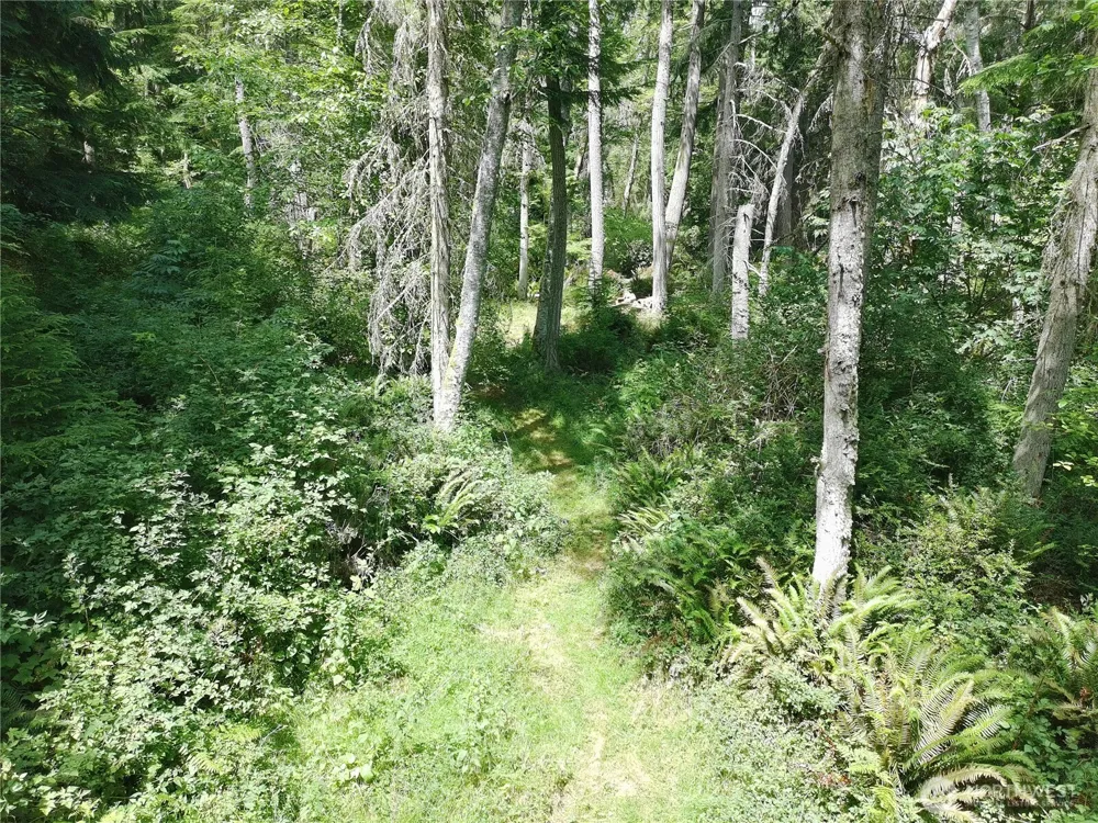 737 Twin View Drive Greenbank, WA 98253