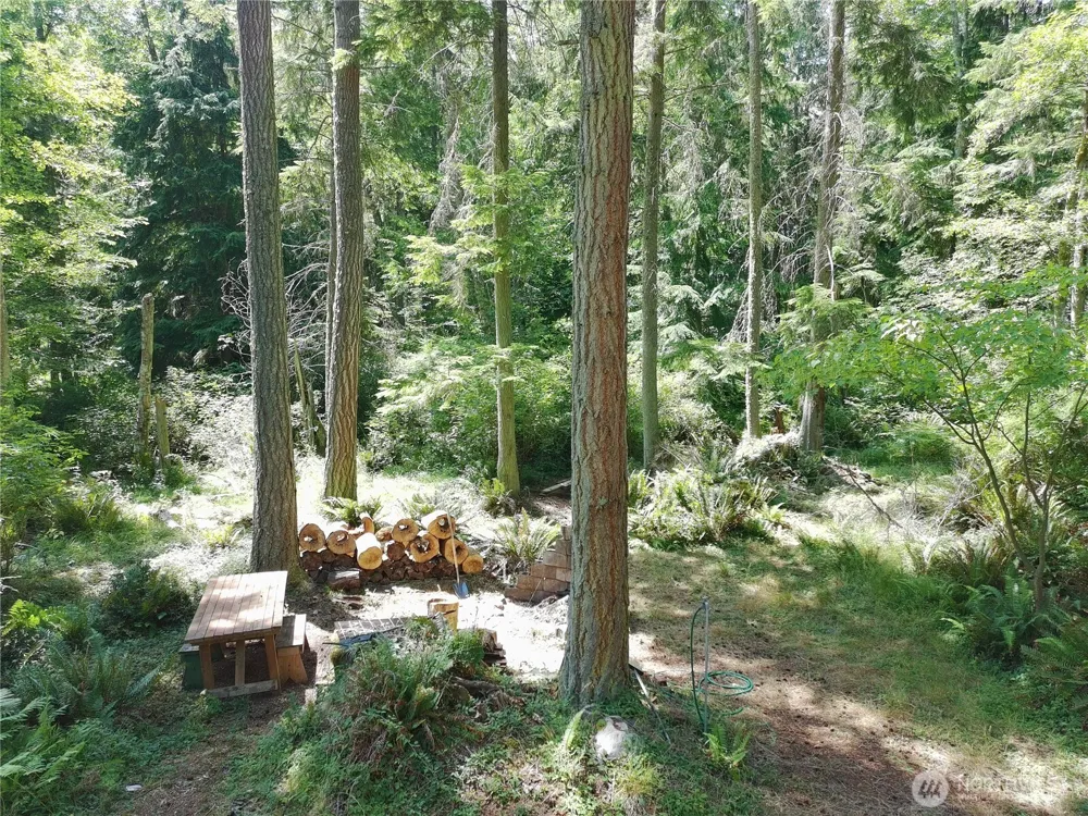 737 Twin View Drive Greenbank, WA 98253