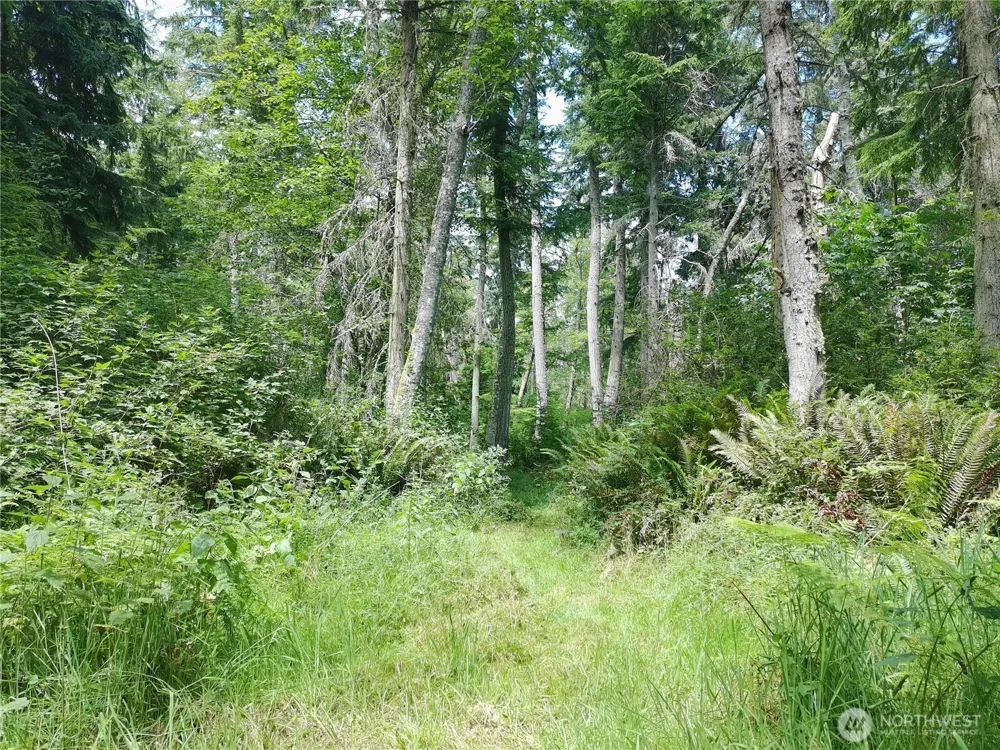 737 Twin View Drive Greenbank, WA 98253