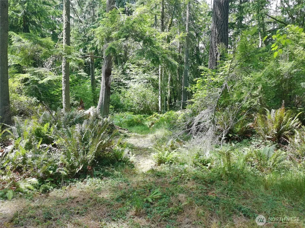 737 Twin View Drive Greenbank, WA 98253