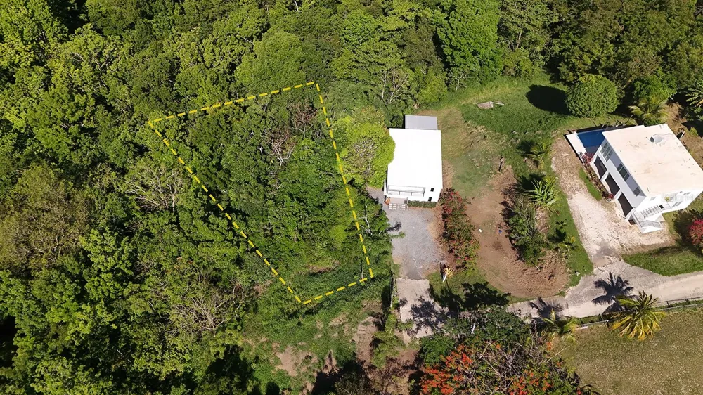 Hidden Tranquil Lot 413 SECTOR COLLAZO Rincon, PR 00677