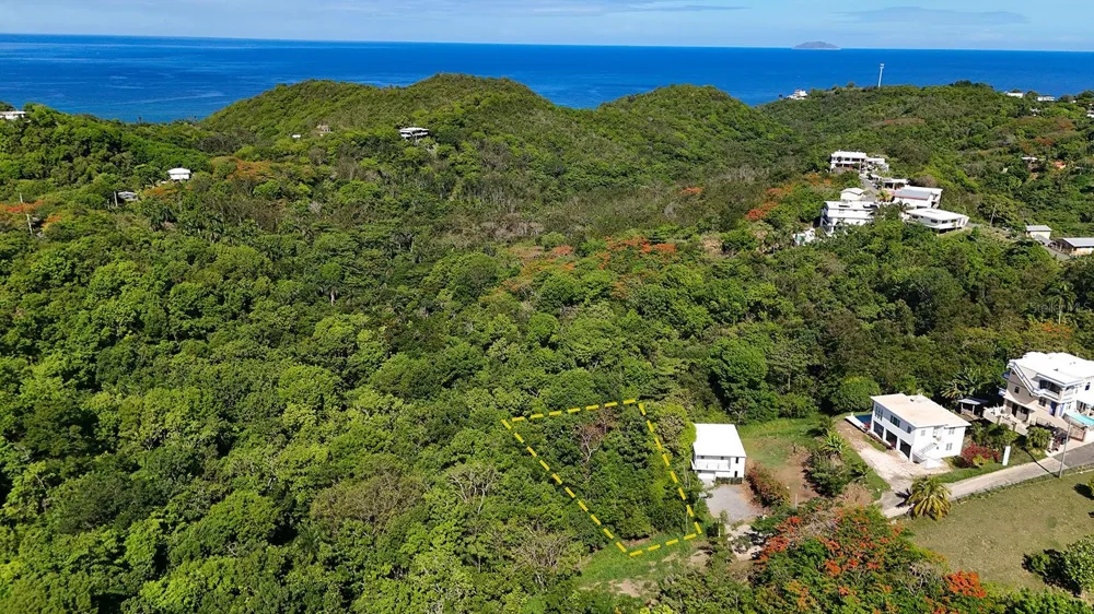 Hidden Tranquil Lot 413 SECTOR COLLAZO Rincon, PR 00677