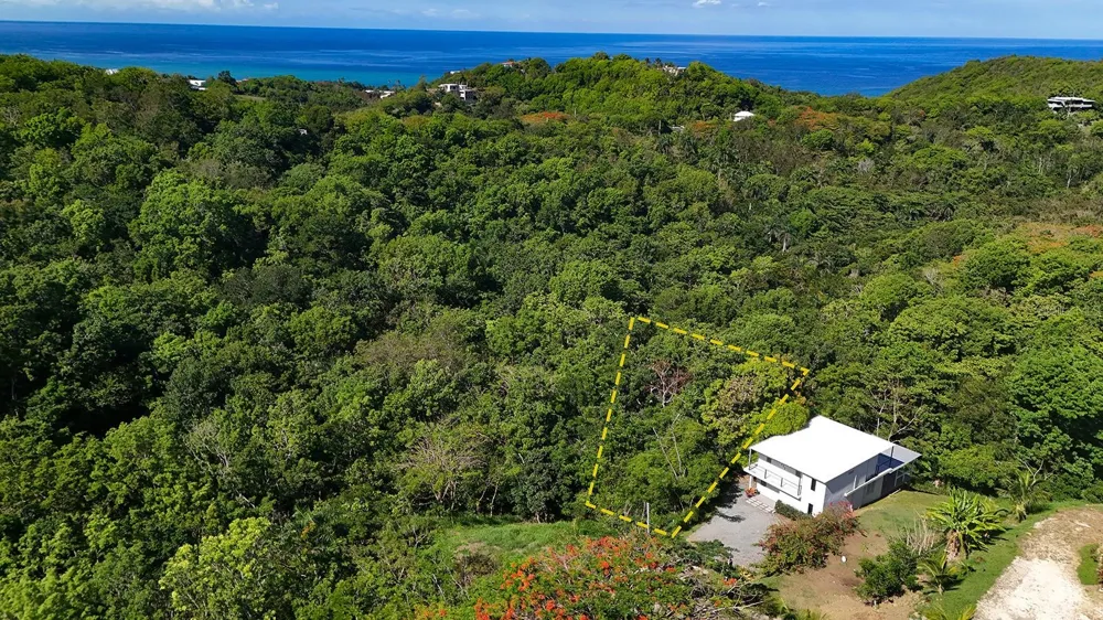 Hidden Tranquil Lot 413 SECTOR COLLAZO Rincon, PR 00677