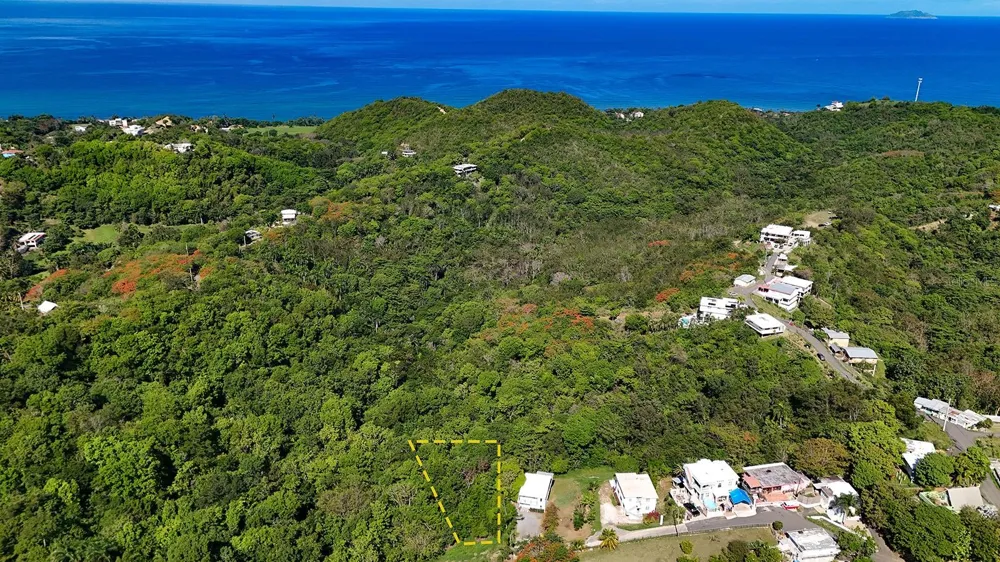 Hidden Tranquil Lot 413 SECTOR COLLAZO Rincon, PR 00677