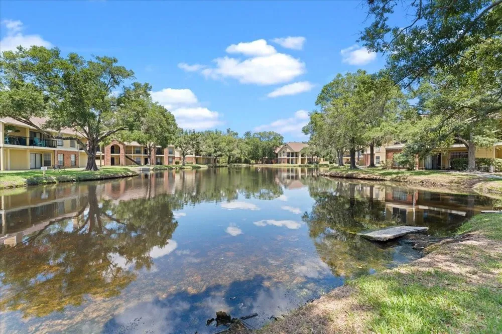 8641 FANCY FINCH DRIVE #102 Tampa, FL 33614