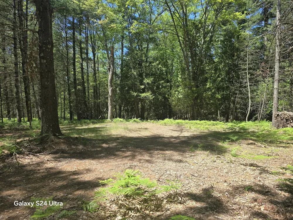 321 W Runway Drive Luther, MI 49656