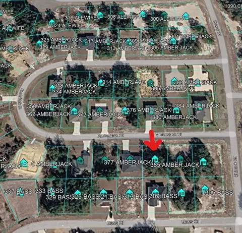 377 AMBERJACK COURT