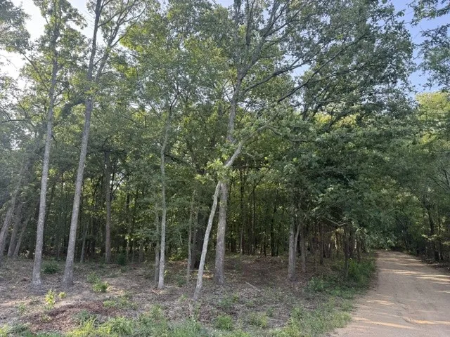 57 PR 43955 Blossom, TX 75416