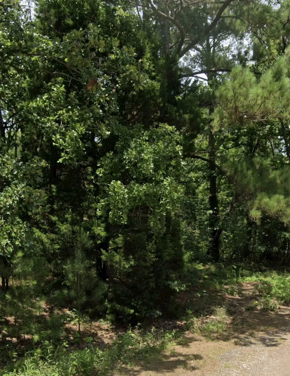 5343 Sam Bass Log Cabin, TX 75074