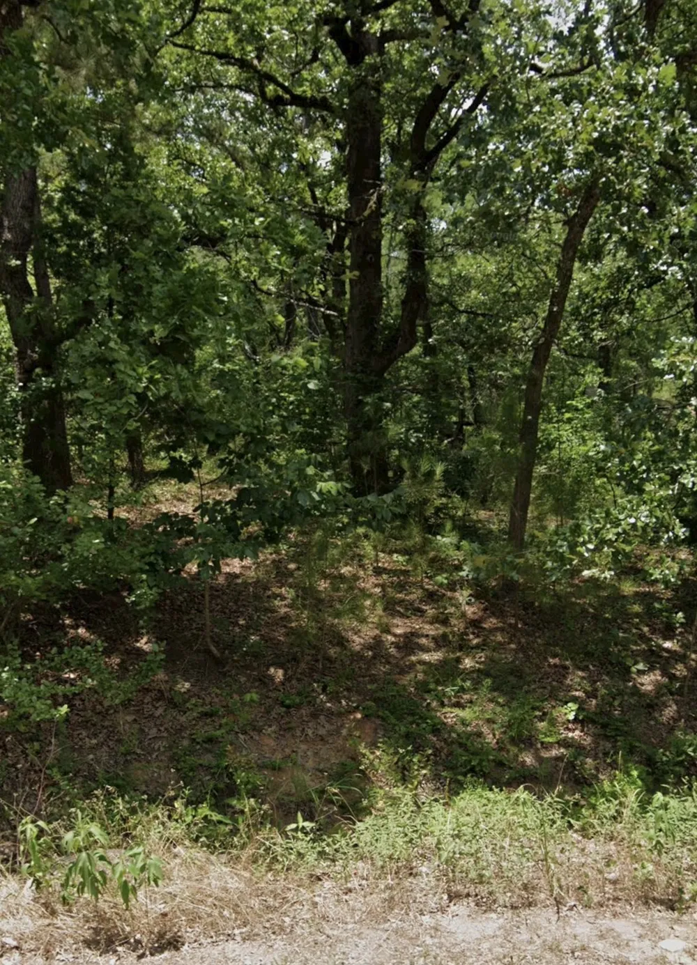 5343 Sam Bass Log Cabin, TX 75074