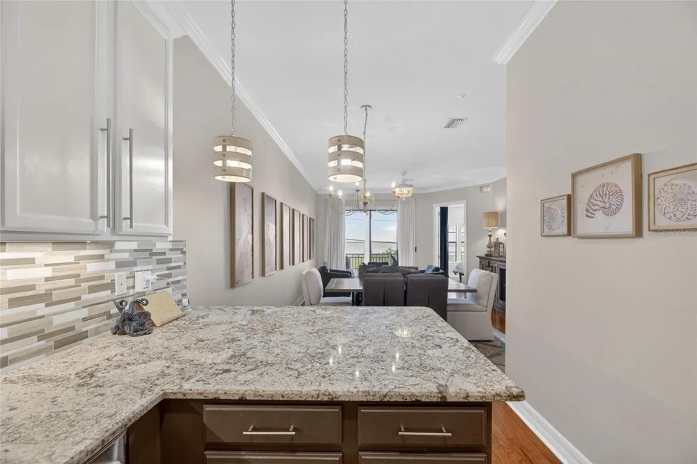 6408 MAYRA SHORES LANE Apollo Beach, FL 33572