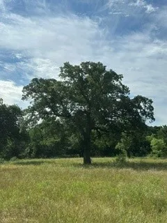 Barry Road Henrietta, TX 76365