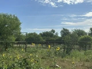 Barry Road Henrietta, TX 76365