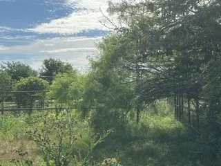 Barry Road Henrietta, TX 76365