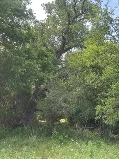 Barry Road Henrietta, TX 76365