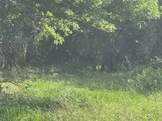 Barry Road Henrietta, TX 76365