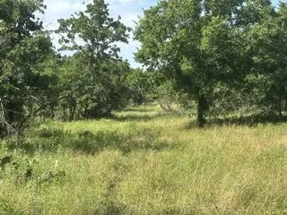Barry Road Henrietta, TX 76365