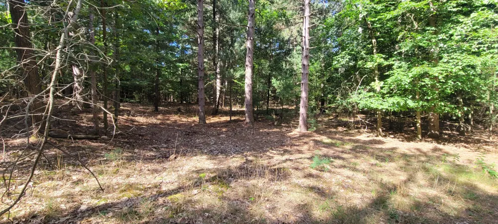 S 32nd Avenue Shelby, MI 49455