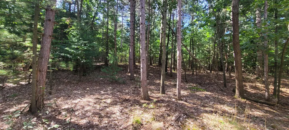 S 32nd Avenue Shelby, MI 49455