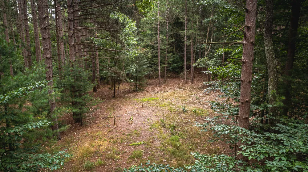 S 32nd Avenue Shelby, MI 49455