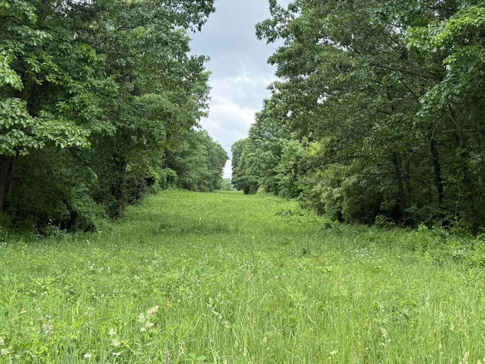 28 Mile Road Albion, MI 49224