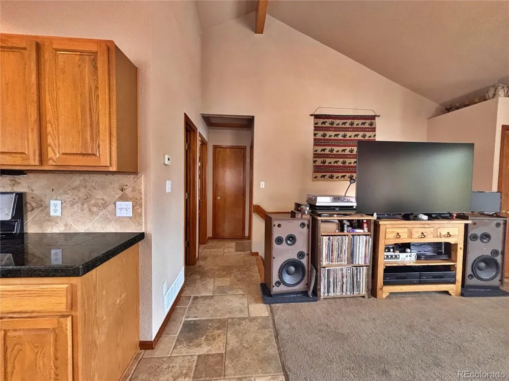 17 Silver Springs Road Bailey, CO 80421