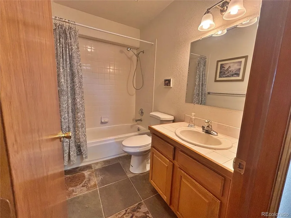 17 Silver Springs Road Bailey, CO 80421