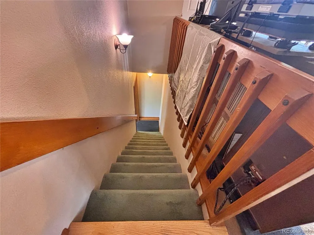 17 Silver Springs Road Bailey, CO 80421