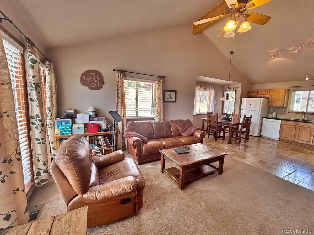 17 Silver Springs Road Bailey, CO 80421