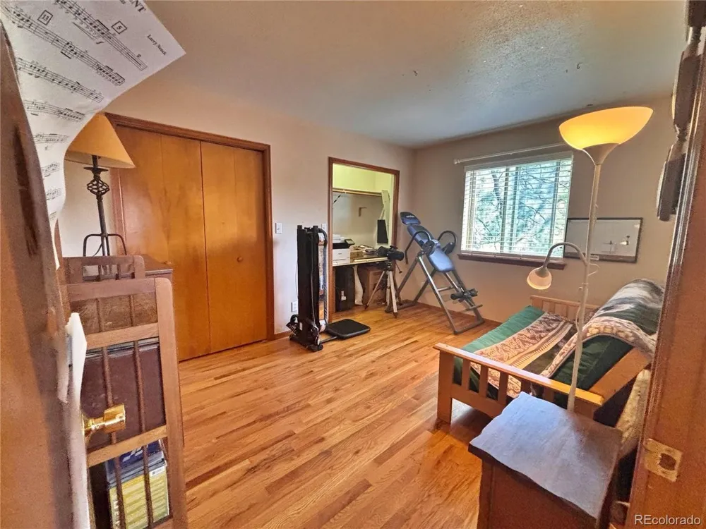 17 Silver Springs Road Bailey, CO 80421