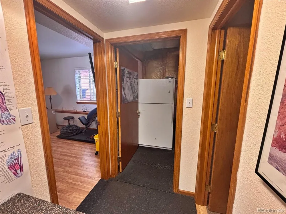 17 Silver Springs Road Bailey, CO 80421