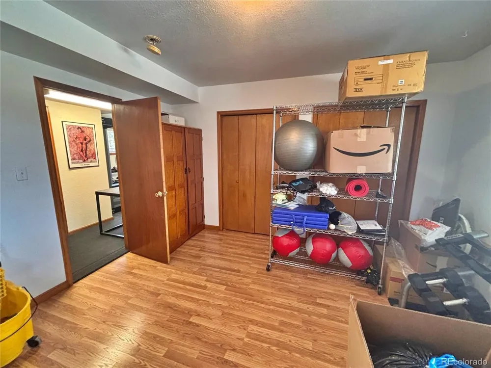 17 Silver Springs Road Bailey, CO 80421