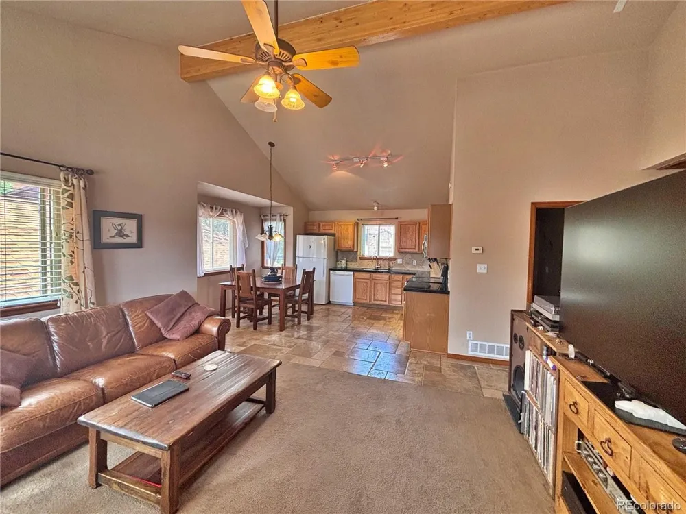 17 Silver Springs Road Bailey, CO 80421