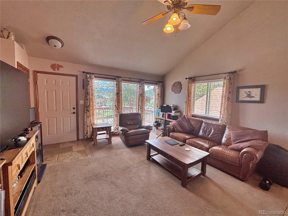 17 Silver Springs Road Bailey, CO 80421