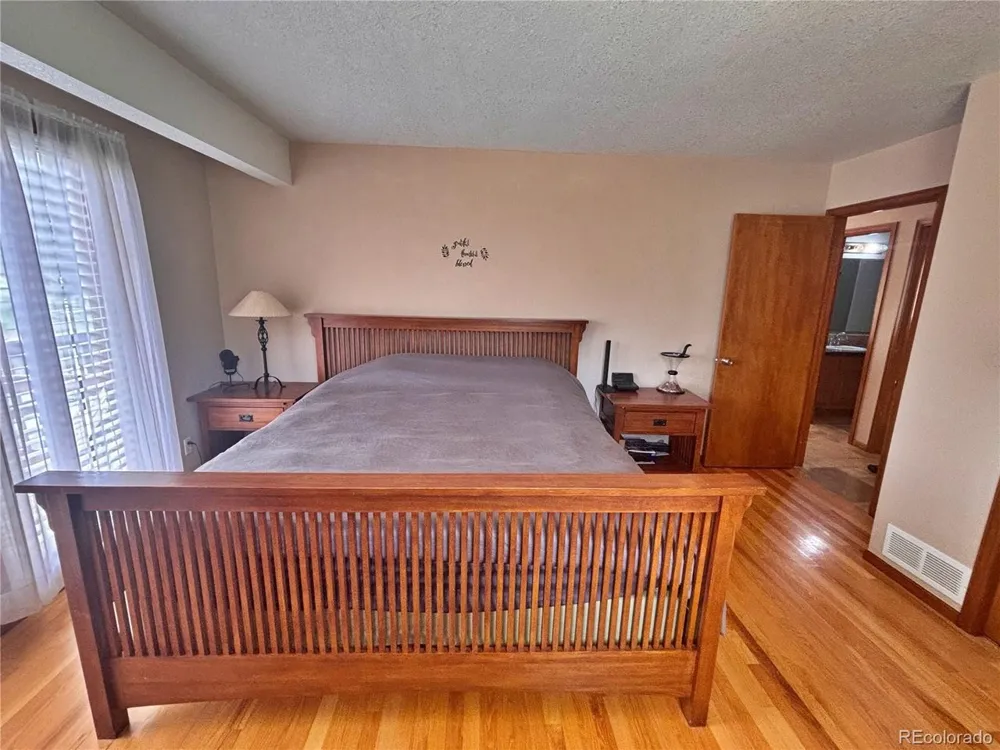 17 Silver Springs Road Bailey, CO 80421