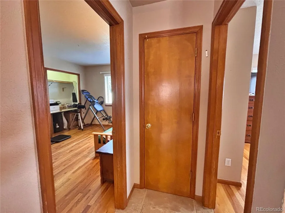 17 Silver Springs Road Bailey, CO 80421