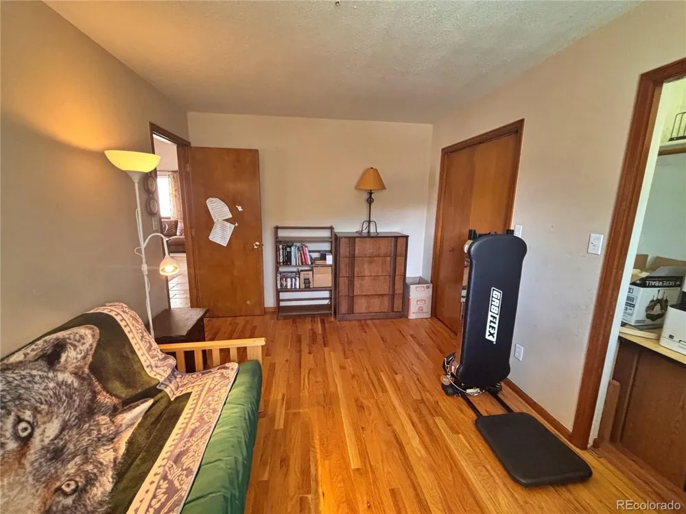 17 Silver Springs Road Bailey, CO 80421