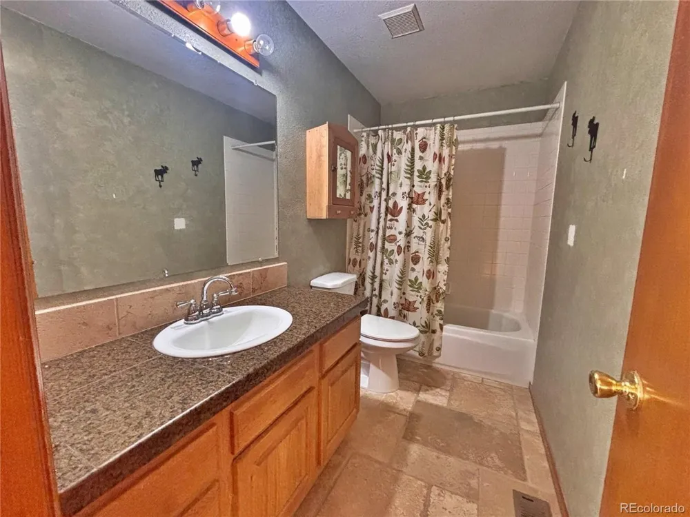 17 Silver Springs Road Bailey, CO 80421