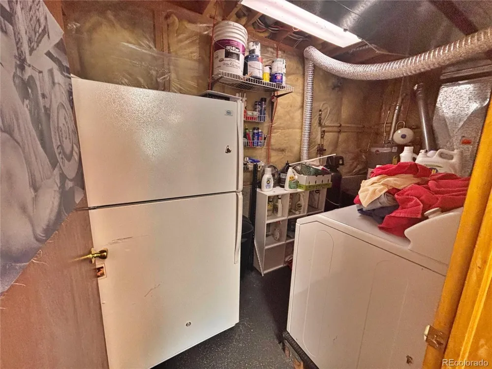 17 Silver Springs Road Bailey, CO 80421