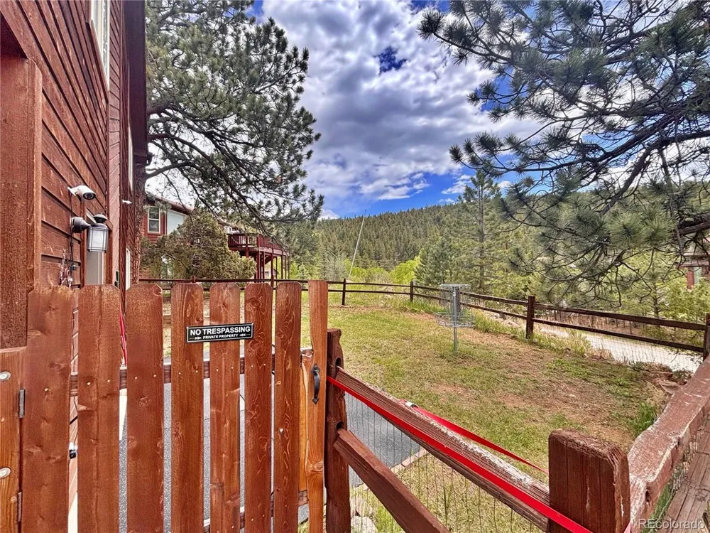 17 Silver Springs Road Bailey, CO 80421